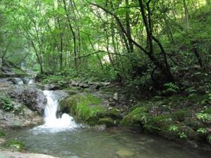 It is a famous scenic spot in chongdu valley